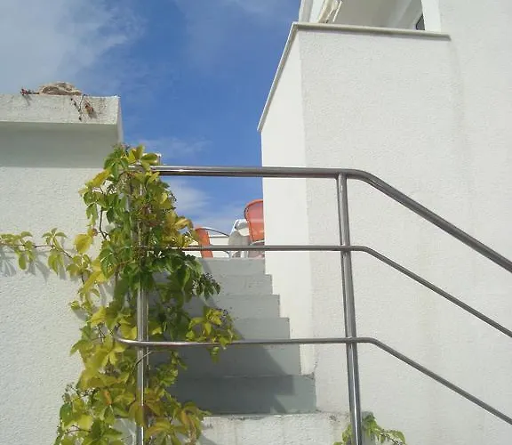 Cvita * Betina (Sibenik-Knin)